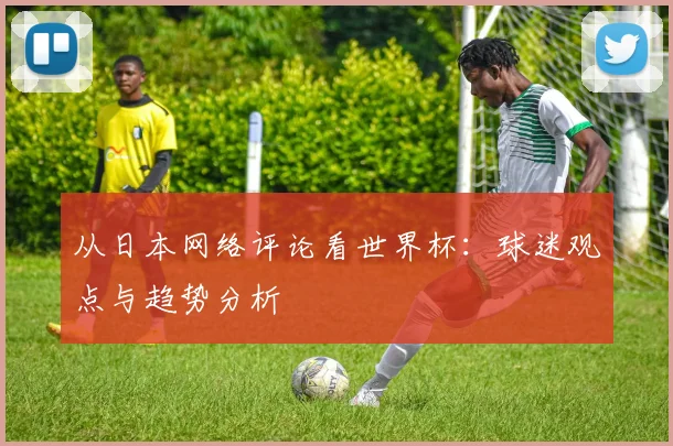从日本网络评论看世界杯：球迷观点与趋势分析