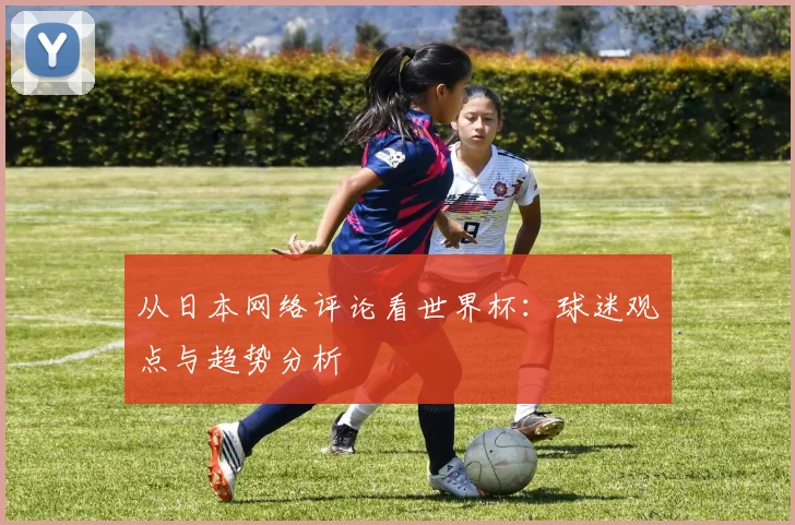 从日本网络评论看世界杯：球迷观点与趋势分析