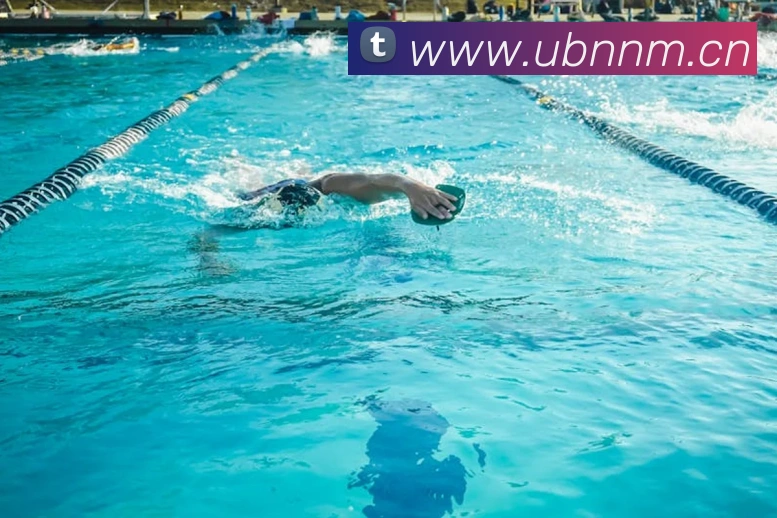 leyu乐鱼地址APP 封面图